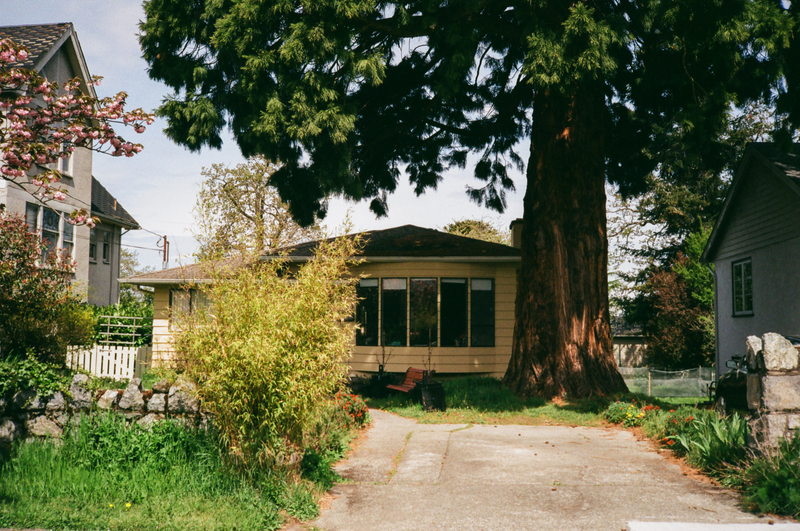 Illustration for article titled Photos from a recent weekend trip to Victoria